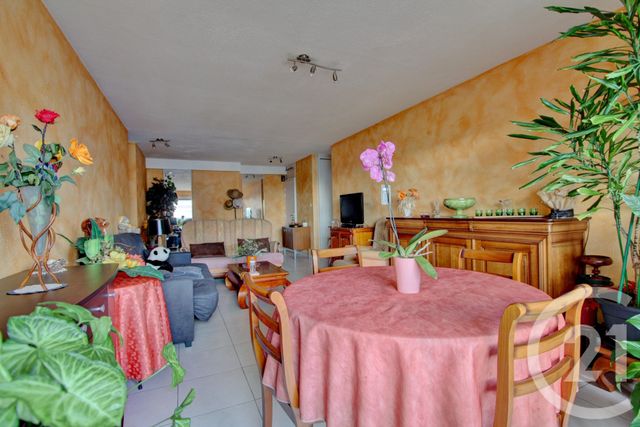appartement - TOULOUSE - 31