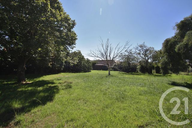 terrain à vendre - 932.0 m2 - MURET - 31 - MIDI-PYRENEES - Century 21 Fly Immo