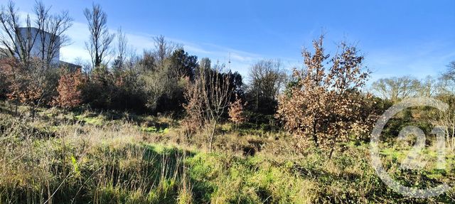terrain à vendre - 5681.0 m2 - TOULOUSE - 31 - MIDI-PYRENEES - Century 21 Fly Immo